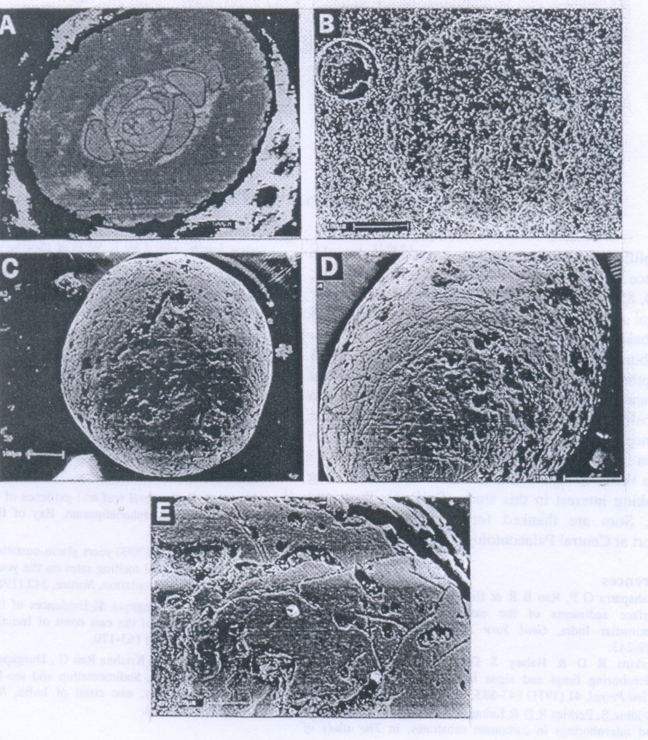 Scanning electron micrographs of spherical ooids with bored surfaces.