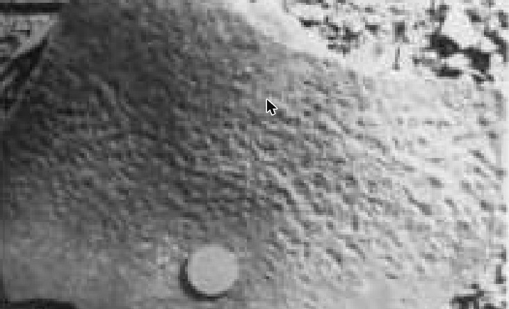 Black and white photograph of a rippled sandstone surface pitted with small rain craters, with a coin for scale.